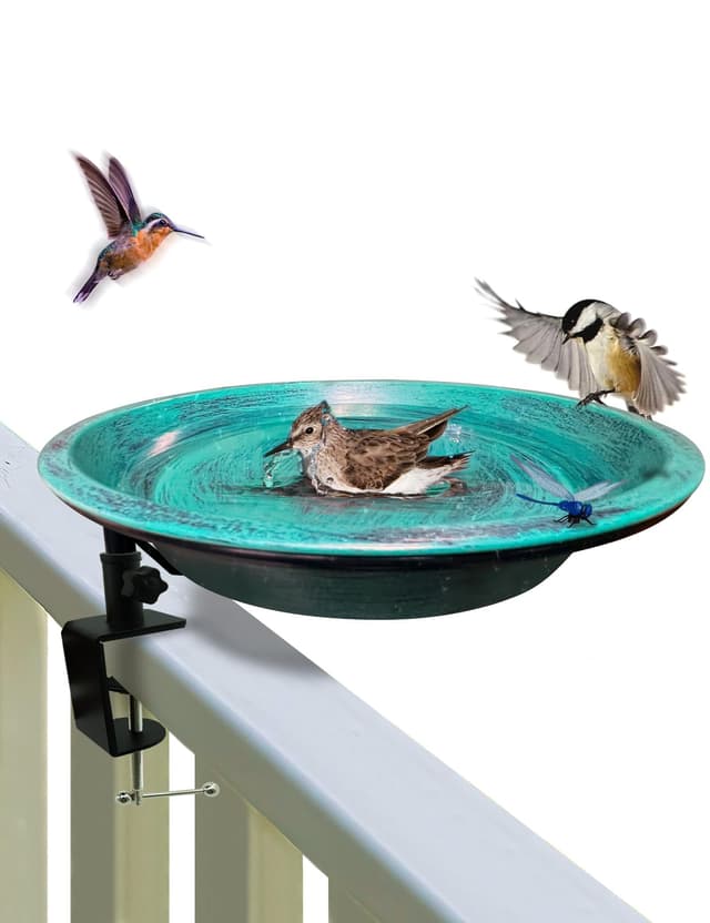 🐦🌿 Vogeltränke für den Außenbereich! Top-Angebot 🌟