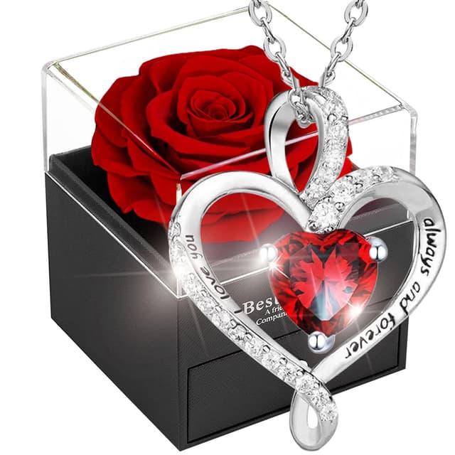 Willuck Ewige Rose Geschenkbox,Rote Eternal Rose für Freundin