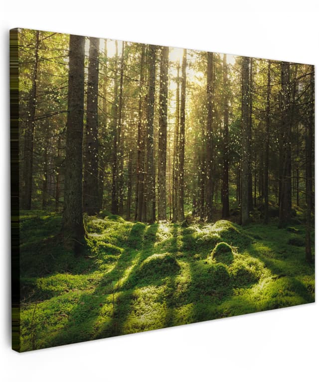 🌿🌞 MuchoWow© Wandbilder Wald Deko - Hochwertige Fotoleinwand 70x50 cm - Wohnzimmer Schlafzimmer Home Deko
