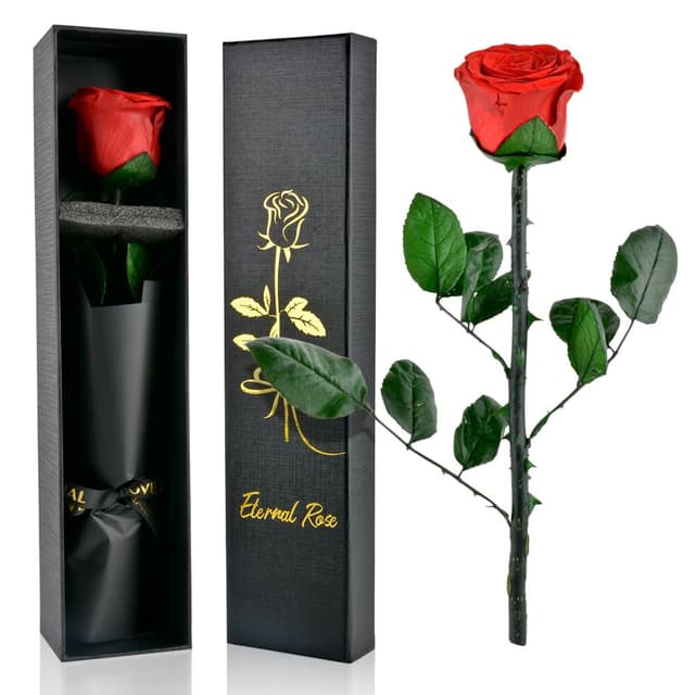 🌹 PLECUPE Ewige Rose Geschenke für Frauen 🌹