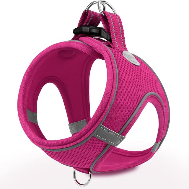 🐾 Joytale Hundegeschirr | Reflektierend & Weich Gepolstert | Air-Mesh Brustgeschirr für Kleine & Mittelgroße Hunde L | Leuchtend Rosa L-Brust:47-55cm Hot Pink