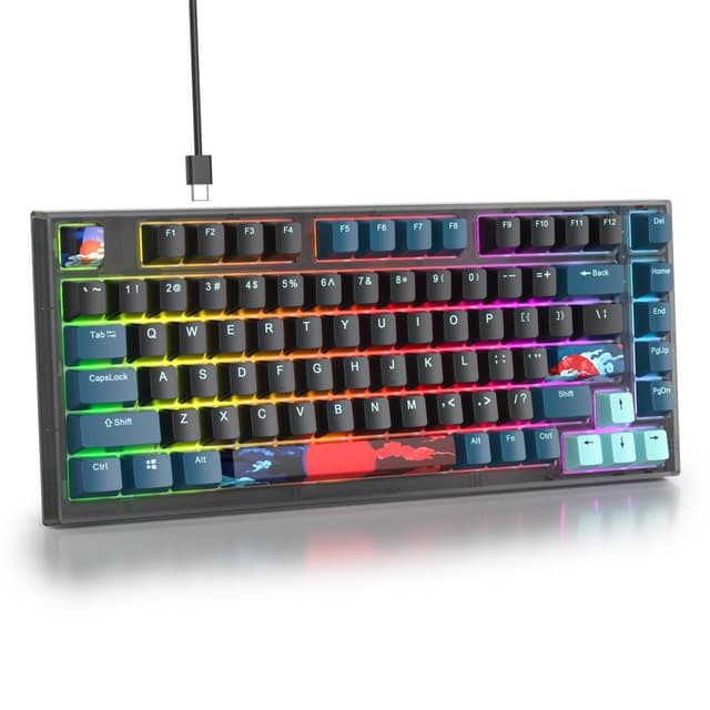 SOLIDEE 75% Mechanische Gaming Tastatur mit Gasket Hot-Swap und RGB - 82 Tasten TKL Gaming Tastatur