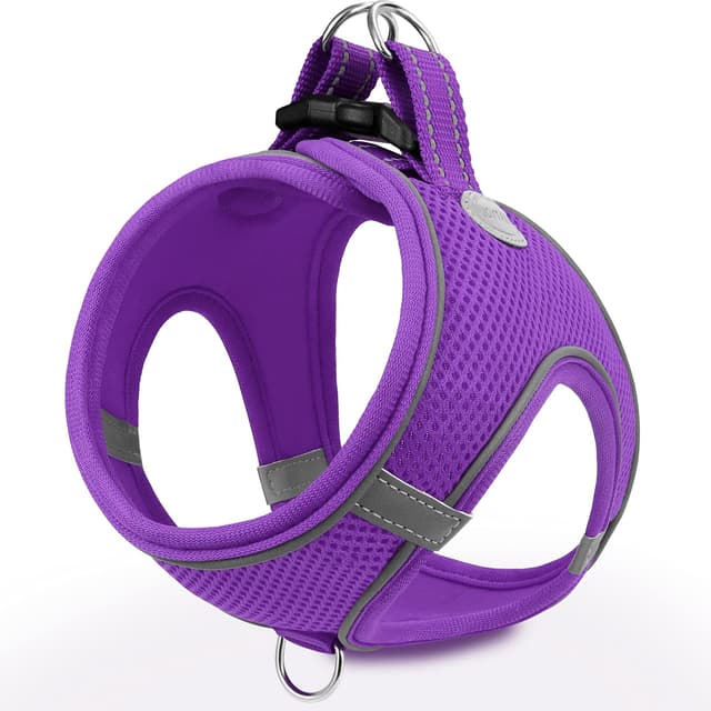 🐾 Joytale Hundegeschirr, Reflektierend Weich Gepolstert Hunde Geschirr, Air-Mesh Atmungsaktiv Brustgeschirr Lila L-Brust:47-55cm