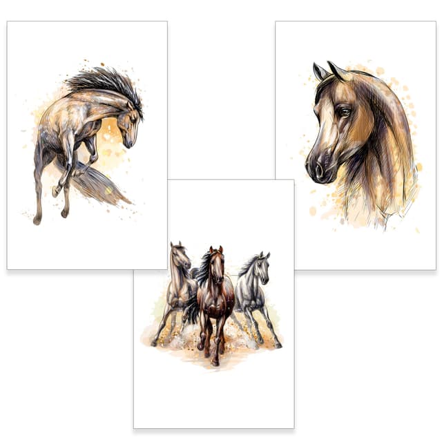 🐎🎨 Klasse Pferde Bilder DIN A4 3er Set 🖼️