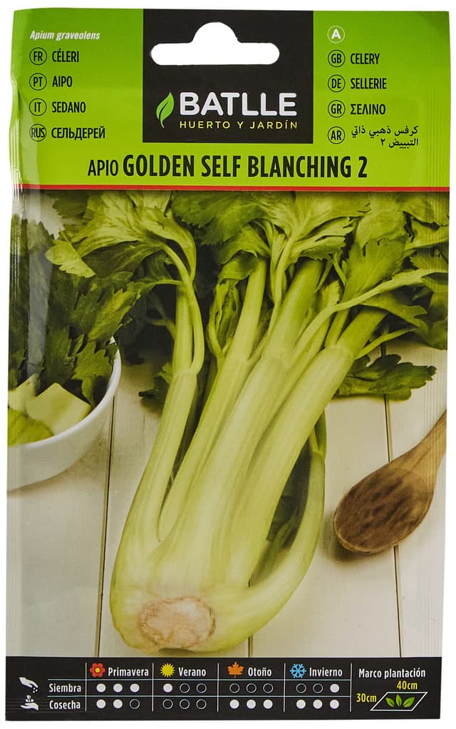 🌿🌱 Batlle Gemüsesamen - Stangensellerie golden Self Blanching 2 (10000 Samen) Apio GOLDEN SELF BLANCHING 2 - Sonderangebot!