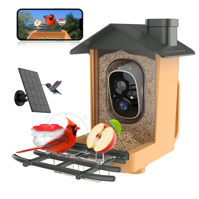 Vogelfutterhaus mit Kamera 🐦📷