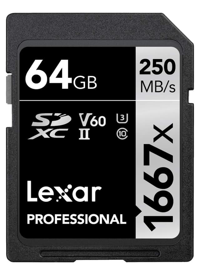 Lexar Professional 1667x SD Karte 64GB 📸🎥 | Bis zu 250 MB/s Lesen | U3, V60 | SDXC UHS-II