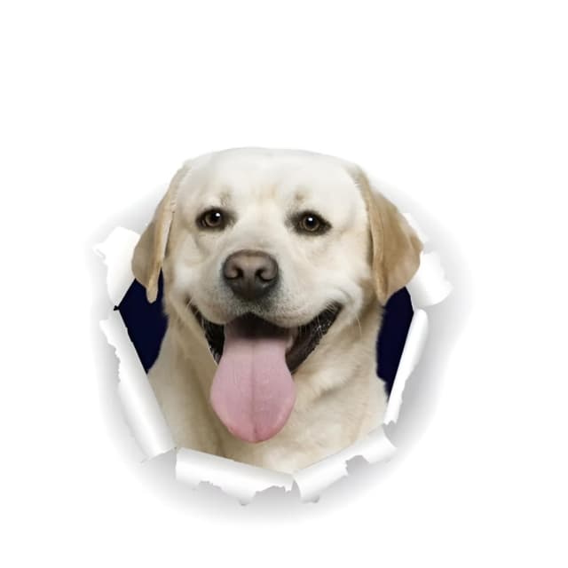 😍 Autoaufkleber Labrador Aufkleber Weißer Hund 3D Zerrissen Reflektierend