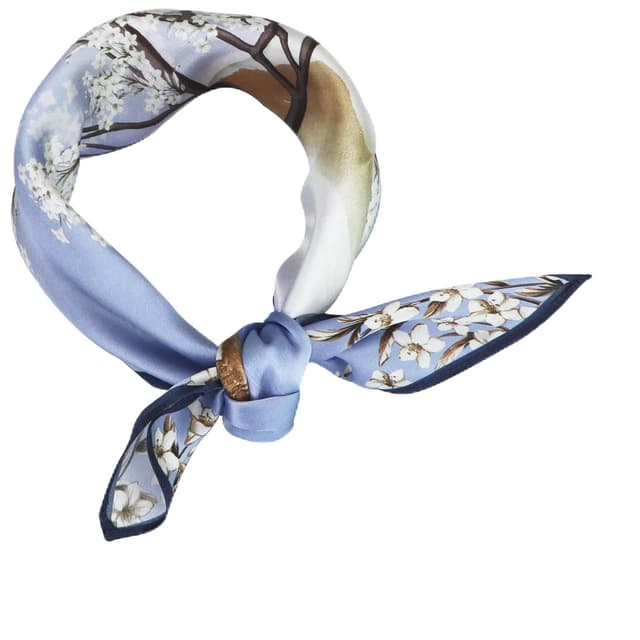🧣 ZhaoCo 100% Natürliche Maulbeerseide Schal, 53x53cm Seidentuch Grafikdruck Klein Weich Quadratisch Seidenschal für Damen Ss53-032a