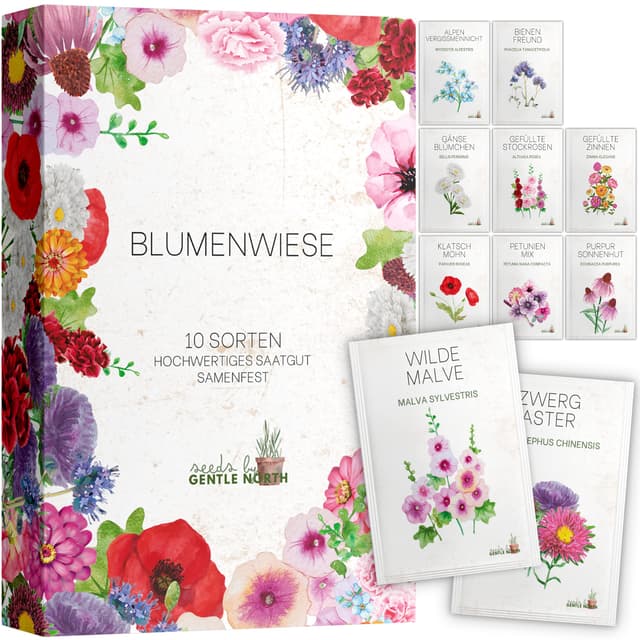 Blumen Samen Set - Bunte Vielfalt für Ihren Garten 🌸🌼🌻