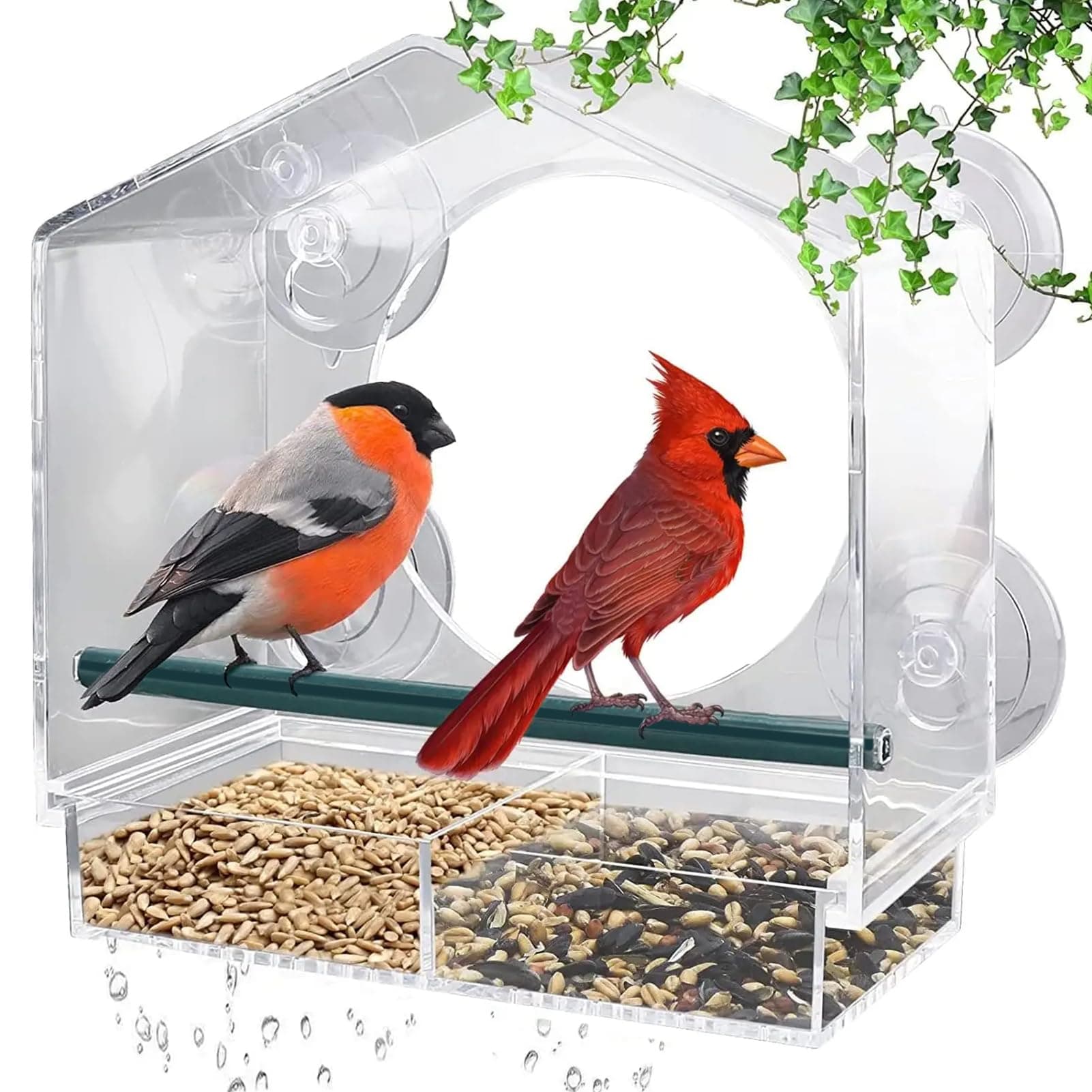 🐦 Fenster Vogelfutterhaus Acryl | Großes Futterhaus für Vögel 🌻