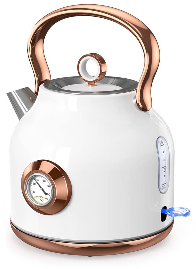 NESSGRAIM Retro Wasserkocher, 1,7L Edelstahl-Teekessel 🍵
