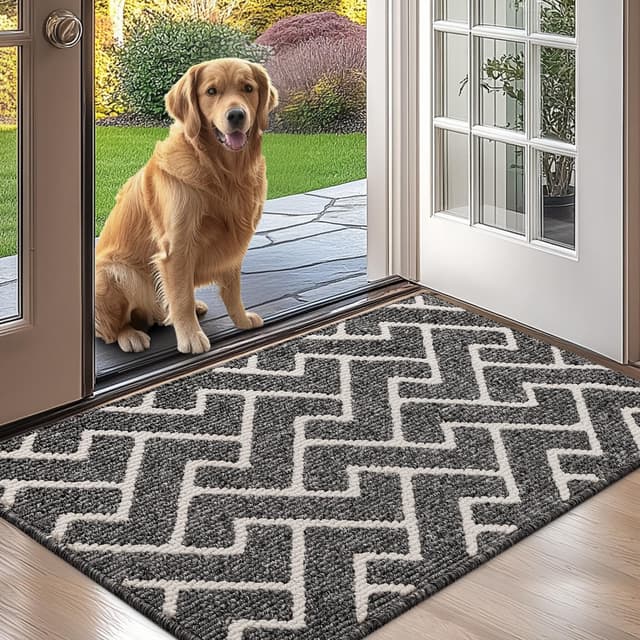 Biscpro Paillasson Intérieur Tapis Entrée Intérieur Extérieur Imperméable 🏡