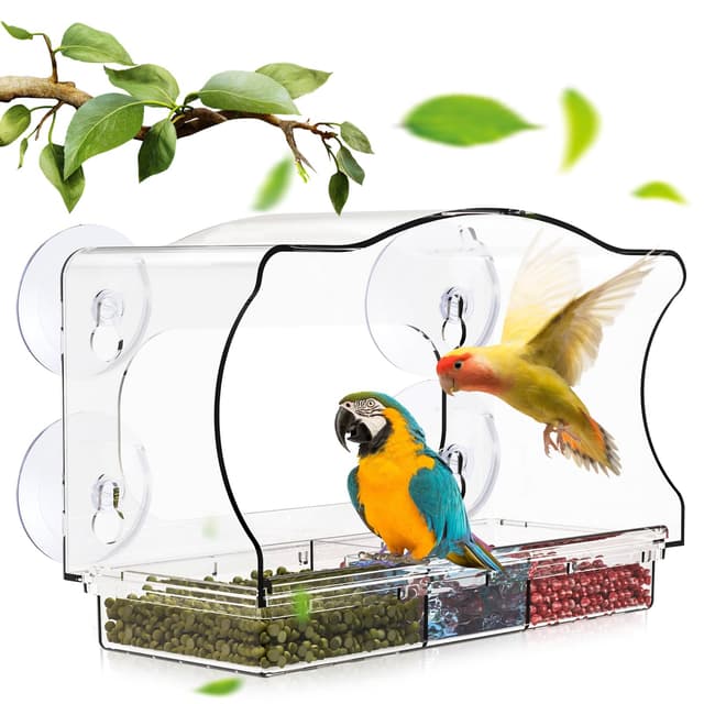 🐦🪟 Vogelhaus Fensterscheibe | Transparentes Futterhaus für Vögel 🪟🐦