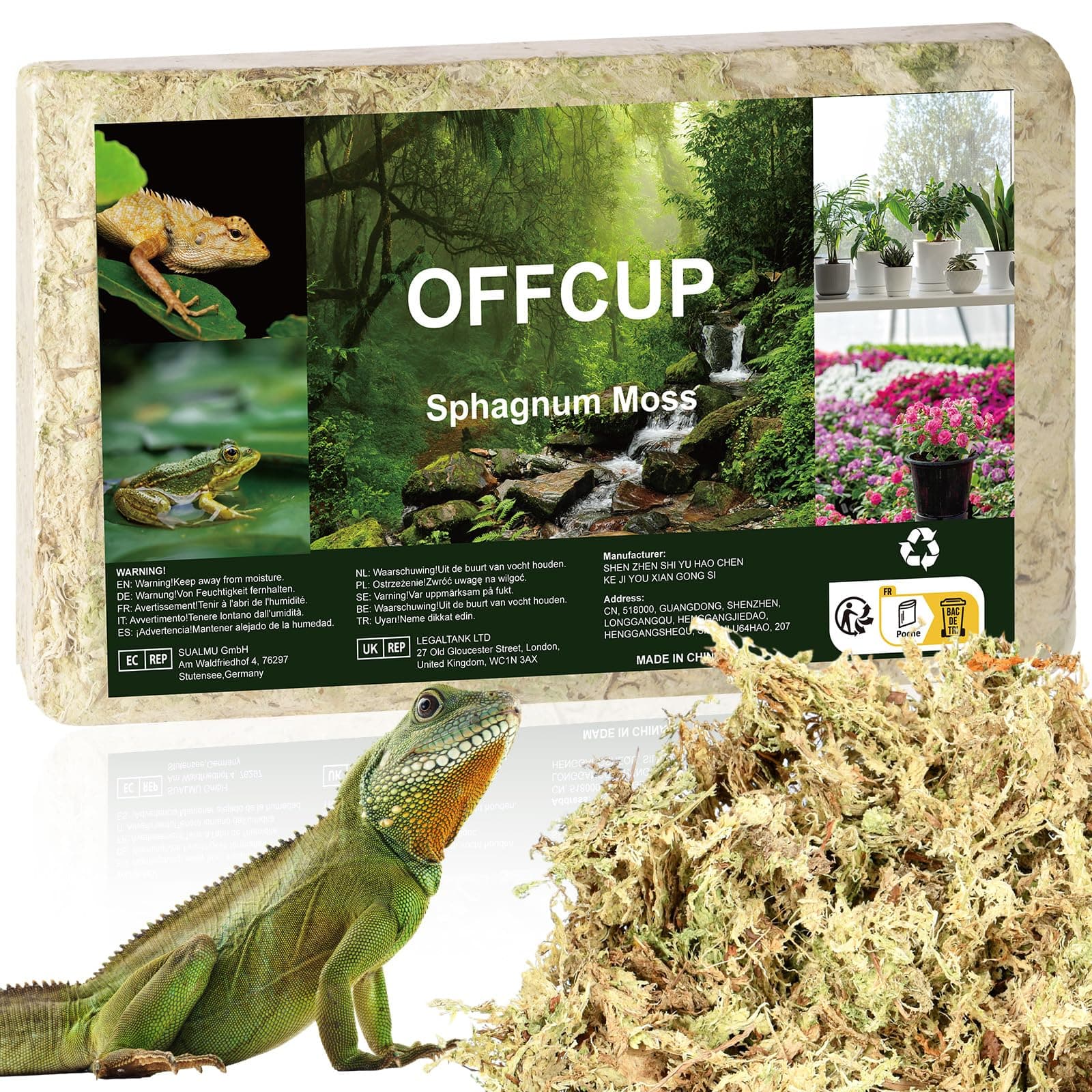 Angebot: OFFCUP 150g Prämie Sphagnum Moos für Terrarium 🌿