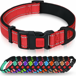 Taglory Hundehalsband, Weich Gepolstertes Neopren Nylon Hunde Halsband für Mittlere Hunde 🐶🔴