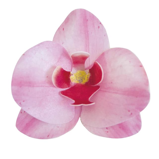 Dekora - Essbare Blumen für Torten 🌸🍰