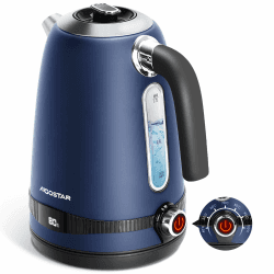 Aigostar Lori - Edelstahl Wasserkocher mit Temperatureinstellung 🌡️🍵