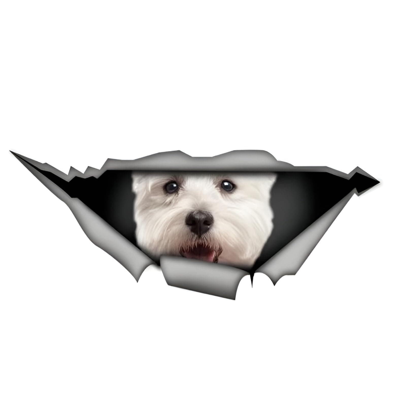 🐾 Autoaufkleber West Highland White Terrier 🚗