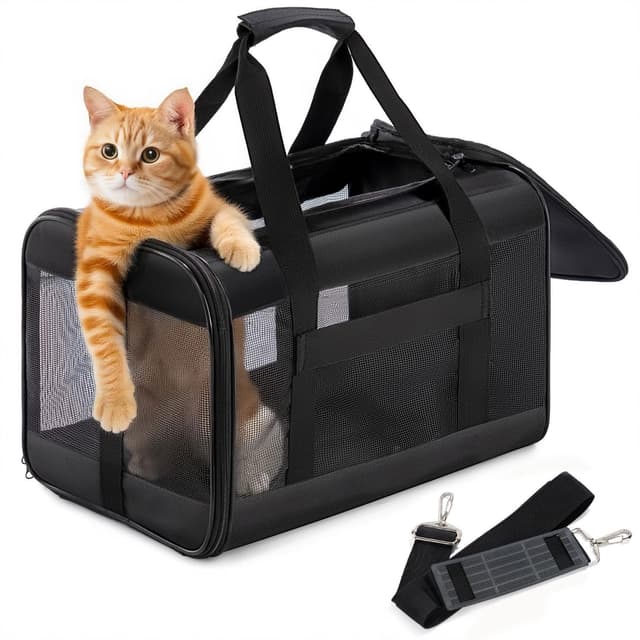Conlun Katzenboxe Flugzeugtauglich 🐱✈️