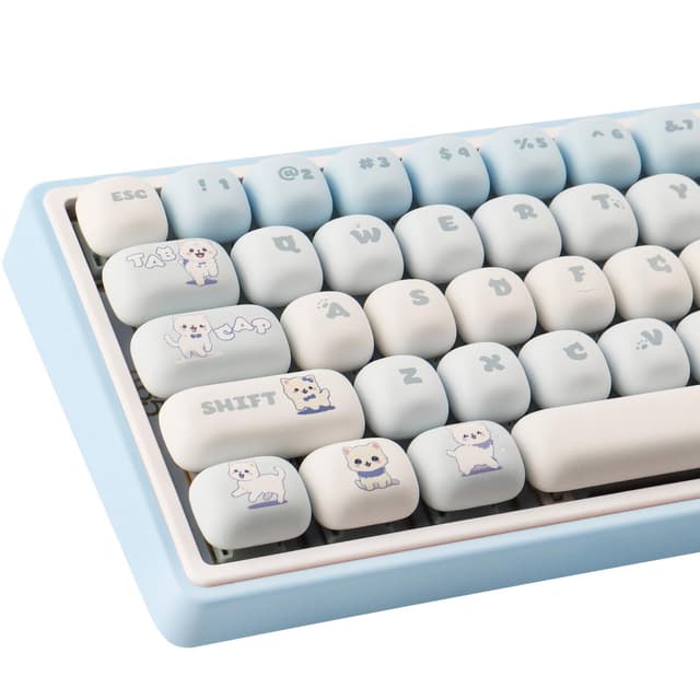 JakeTsai 143 Tasten PBT Keycaps | Angebot 🌟