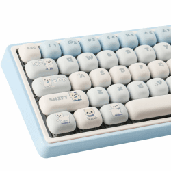 JakeTsai 143 Tasten PBT Keycaps | Angebot 🌟
