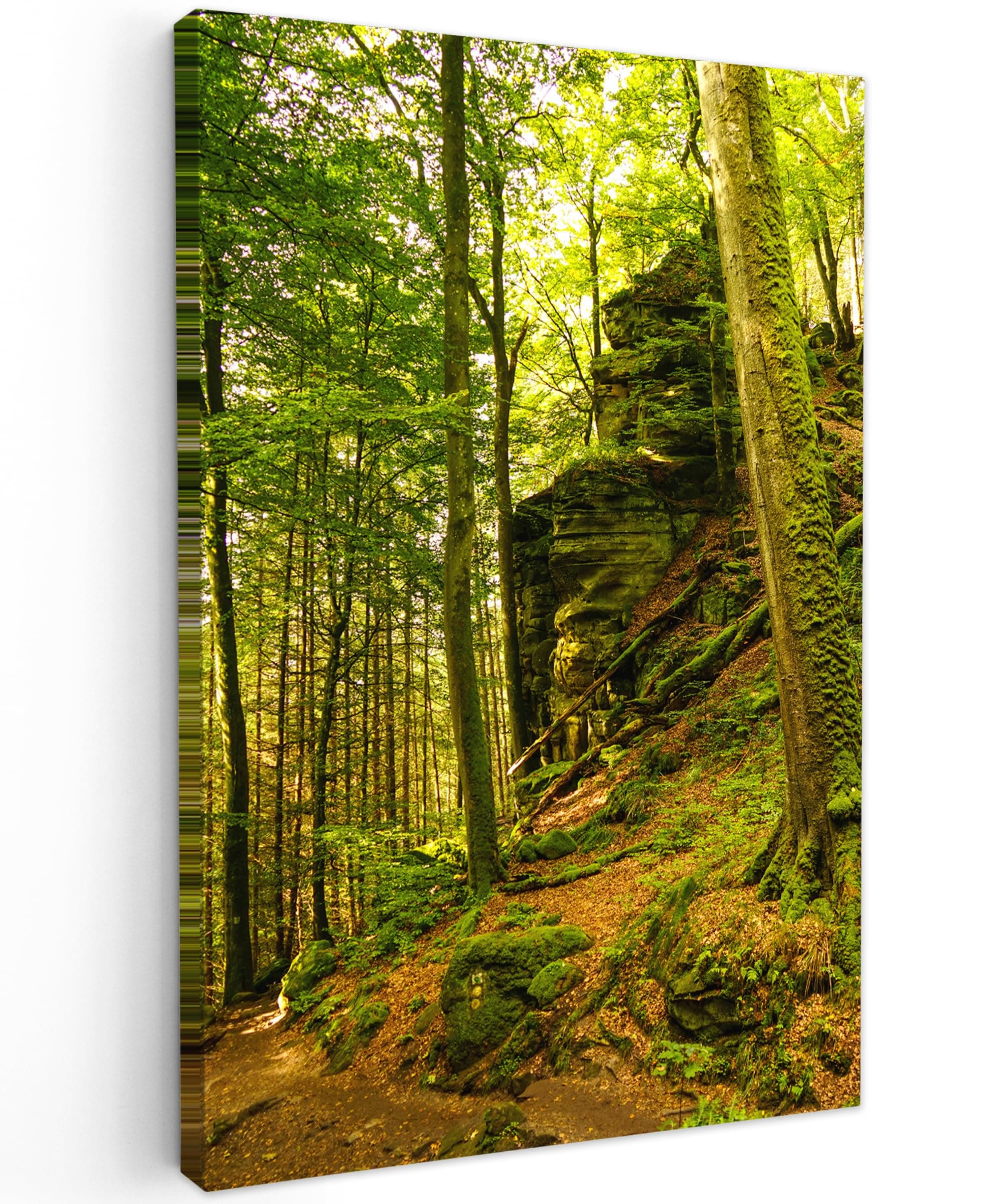 MuchoWow© Bilder 40x60 cm Wohnzimmer Deko 🌿 Moderne Wandbilder 🌳 Schlafzimmer Raumdeko