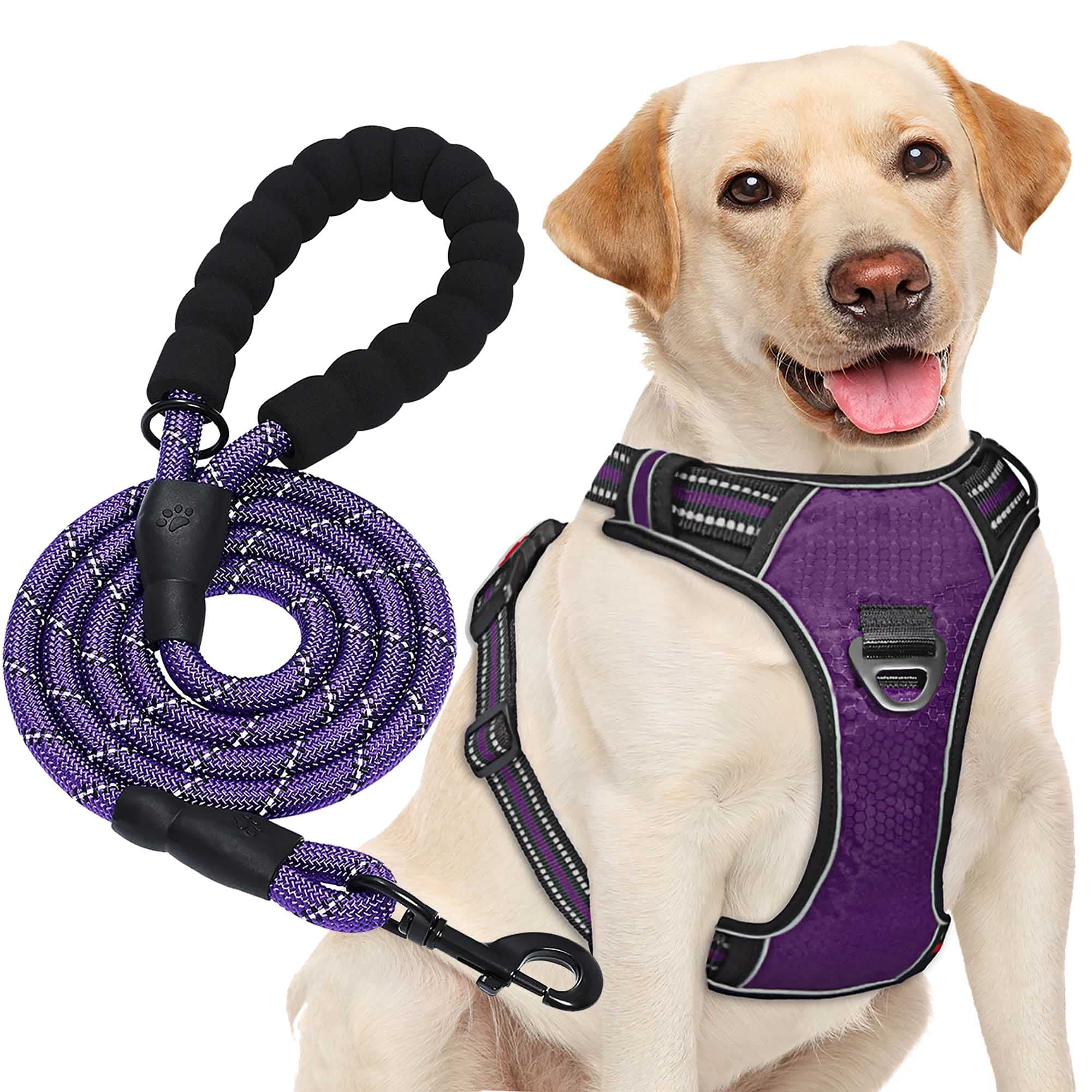 🐾 Haapaw Hundegeschirr ohne Zug, einstellbar, reflektierend, Oxford, mittelgroßes Hundegeschirr mit kostenloser Hundeleine M (1er Pack) Lila 🌟