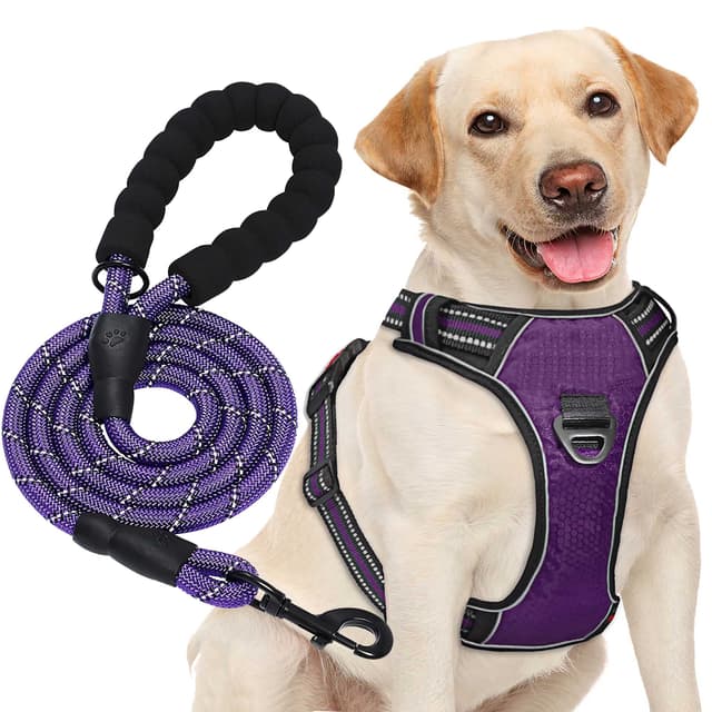 🐾 Haapaw Hundegeschirr ohne Zug, einstellbar, reflektierend, Oxford, mittelgroßes Hundegeschirr mit kostenloser Hundeleine M (1er Pack) Lila 🌟
