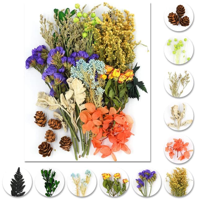 🌸 iDattel Natürliche Getrocknete Blumen Set 🌼