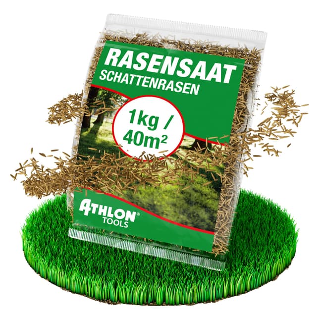 ATHLON TOOLS Schattenrasen-Samen 1kg / 40m² Frühjahr/Sommer 🌿🌱