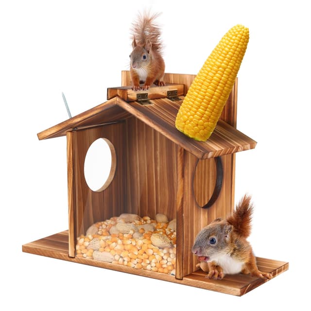 CREECHWA Eichhörnchen Futterhaus 🐿️🌿