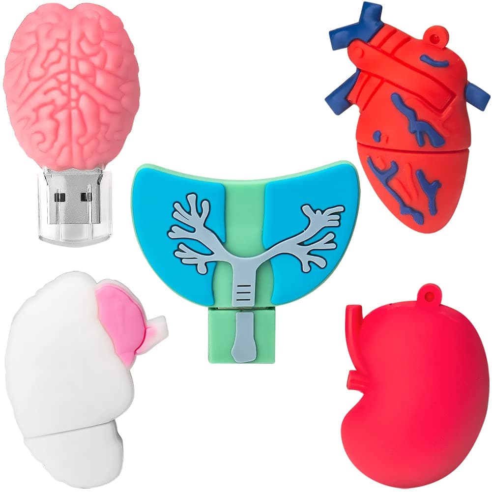 Angebot: 8GB*5 USB-Stick USB-Flash-Laufwerk Menschliche Organe 🐢🐟🐔🐈🐖