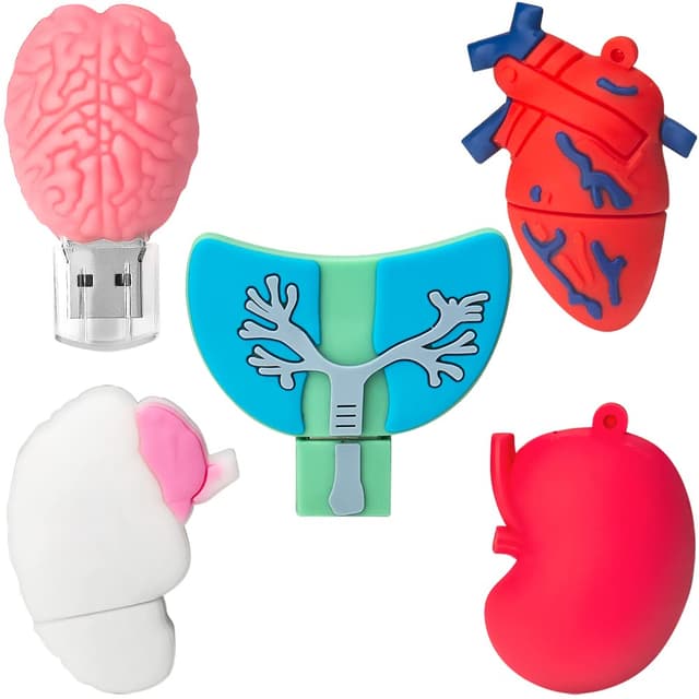 Angebot: 8GB*5 USB-Stick USB-Flash-Laufwerk Menschliche Organe 🐢🐟🐔🐈🐖