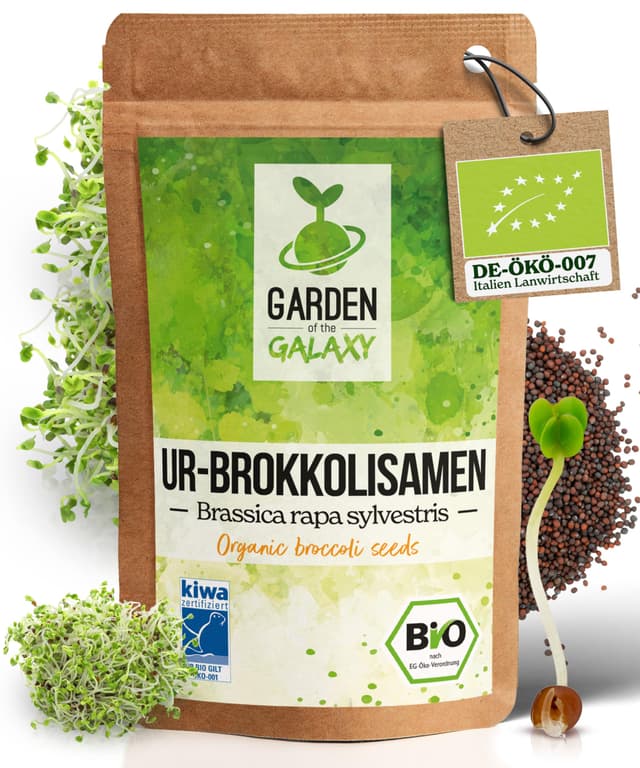 Bio Brokkolisamen [500g] - Hochwertige Qualität aus Italien 🥦🌱