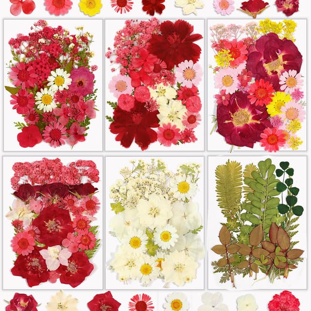 Resiners 174 Stück Rot Getrocknete Blumen Natürliche Gepresste Getrocknete Blumen 🌸🌿🎨