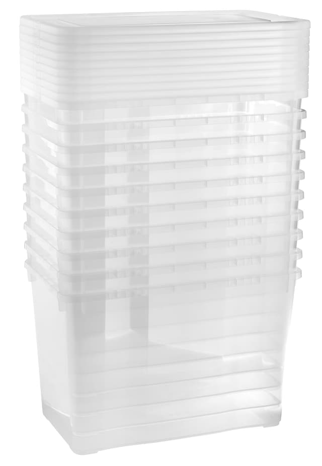 Grizzly Aufbewahrungsboxen 10 x 10 L small hoch mit Deckel transparent - Klarsichtboxen stapelbar mit Belüftung Klein hoch 10er Set 📦🔍