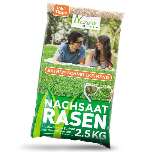 Rasensamen schnellkeimend Sommer 2,5kg - 75-100m² 🌱🌿
