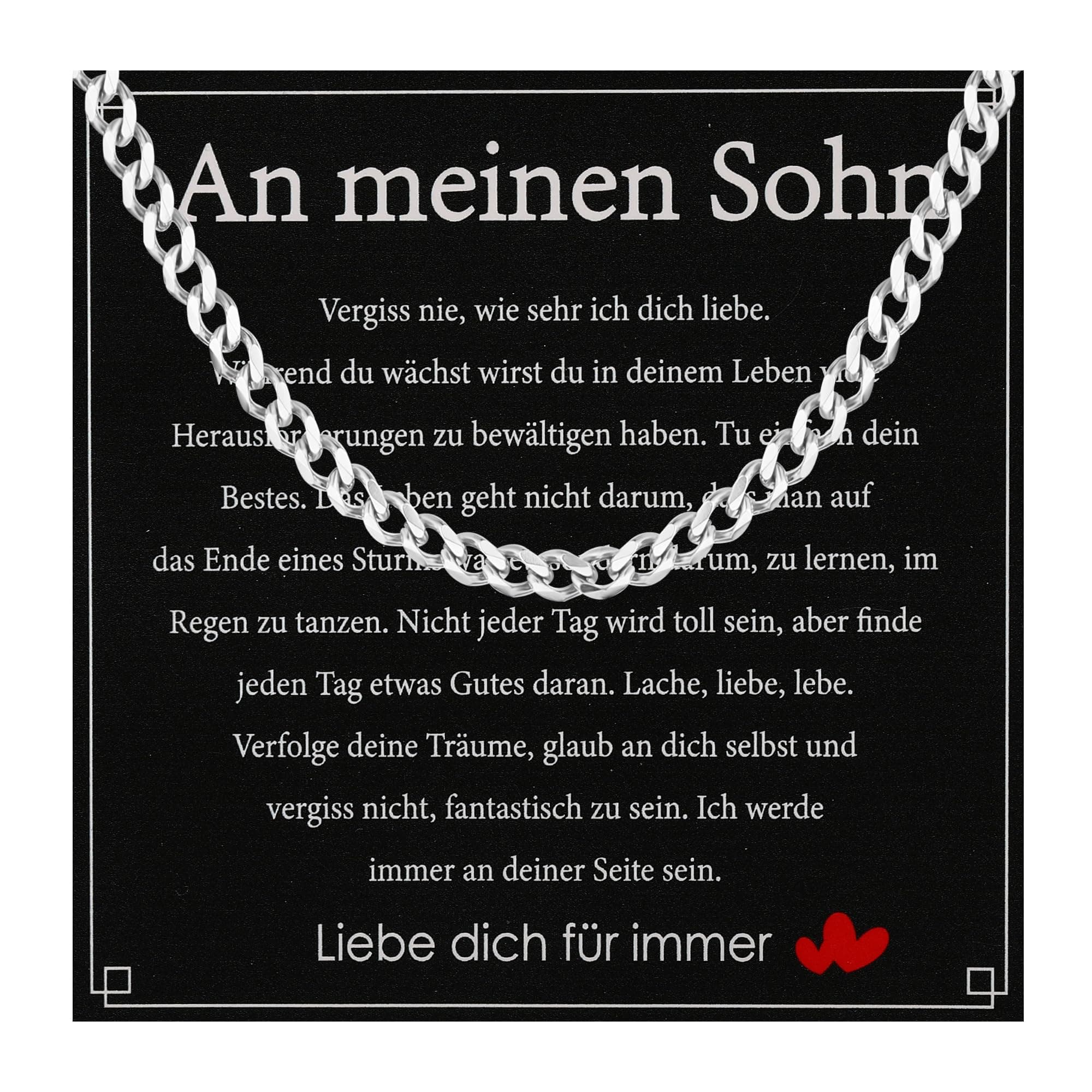 Aretas Halskette Herren Edelstahl Panzerkette 6mm Silberkette 🎁