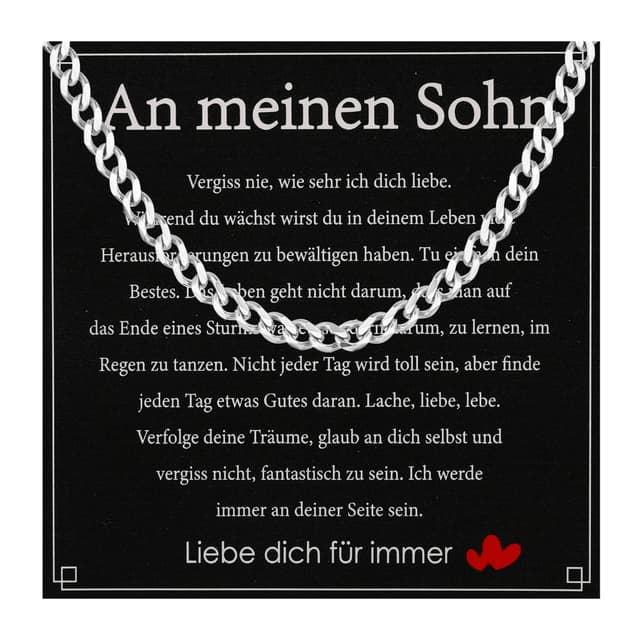 Aretas Halskette Herren Edelstahl Panzerkette 6mm Silberkette 🎁