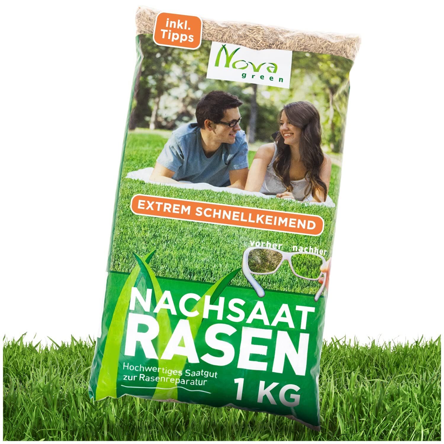 🌱 Rasensamen Schnellkeimend Sommer 1kg - 30-40m² Rasensaat
