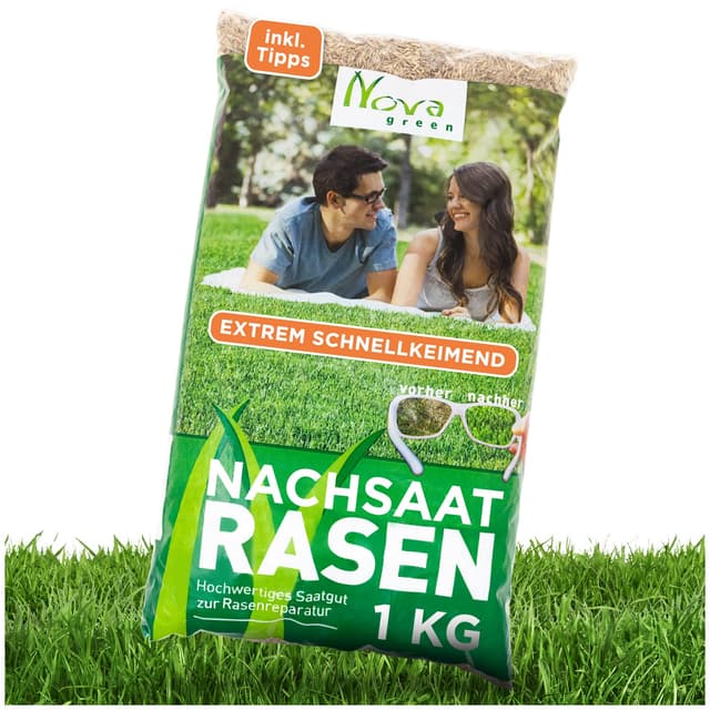 🌱 Rasensamen Schnellkeimend Sommer 1kg - 30-40m² Rasensaat
