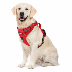 🐾🔴 Funfox Hundegeschirr Mittelgroße Hunde [L] 🔴🐾