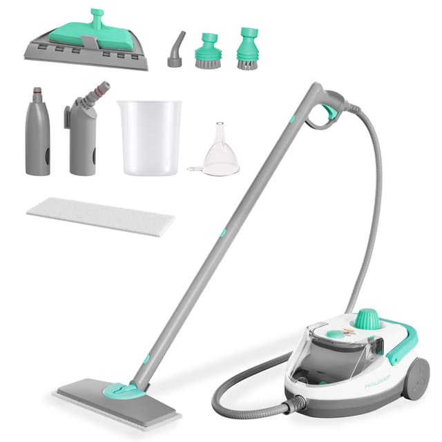 🌟 Angebot: HAUSHOF Dampfreiniger 1800W, Weiß-Grün 🌟