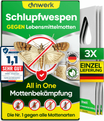 🦟🚫 anwerk® Schlupfwespen gegen Lebensmittelmotten - Effektive Mottenbekämpfung!