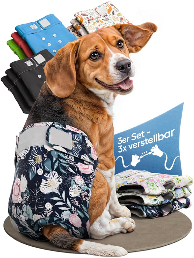 🐶 HUND IST KÖNIG Hundewindeln für Hündinnen (3 Stück) - Hochabsorbierende Läufigkeitshose für Hündinnen