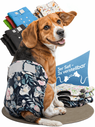 🐶 HUND IST KÖNIG Hundewindeln für Hündinnen (3 Stück) - Hochabsorbierende Läufigkeitshose für Hündinnen