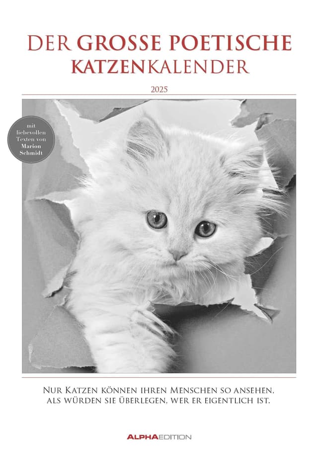 🐱 Alpha Edition - Der große poetische Katzenkalender 2025 📅🖤📜