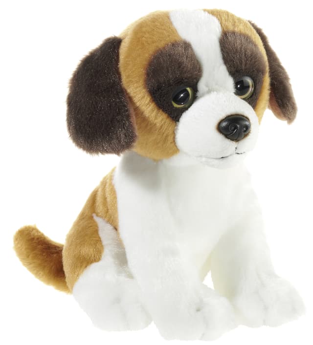 🐶 Heunec 278073 Bernard Plüschtier, Hund, 8 Zoll, Braun, weiß 🐾