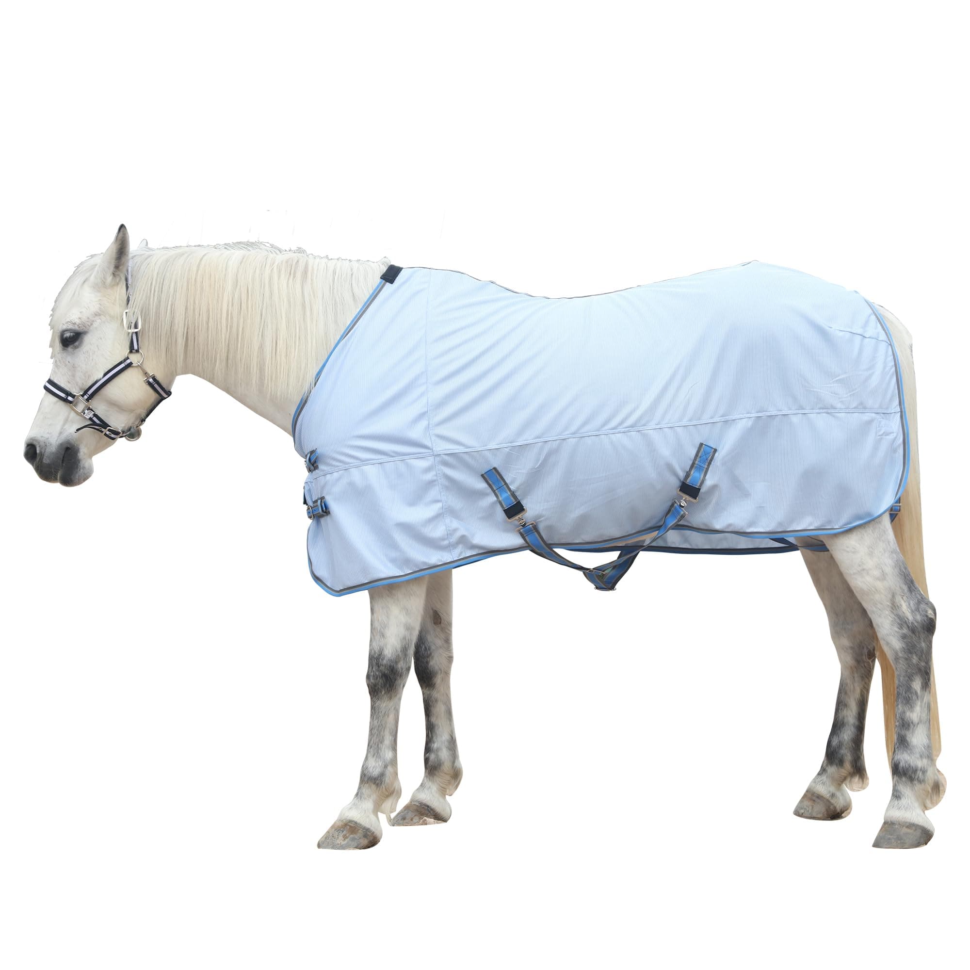 Gallopoff Fliegendecke für Pferde in Hellblau 160 cm 🐎🌞